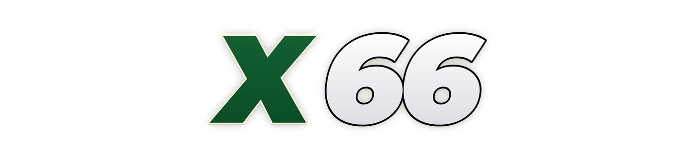 x66